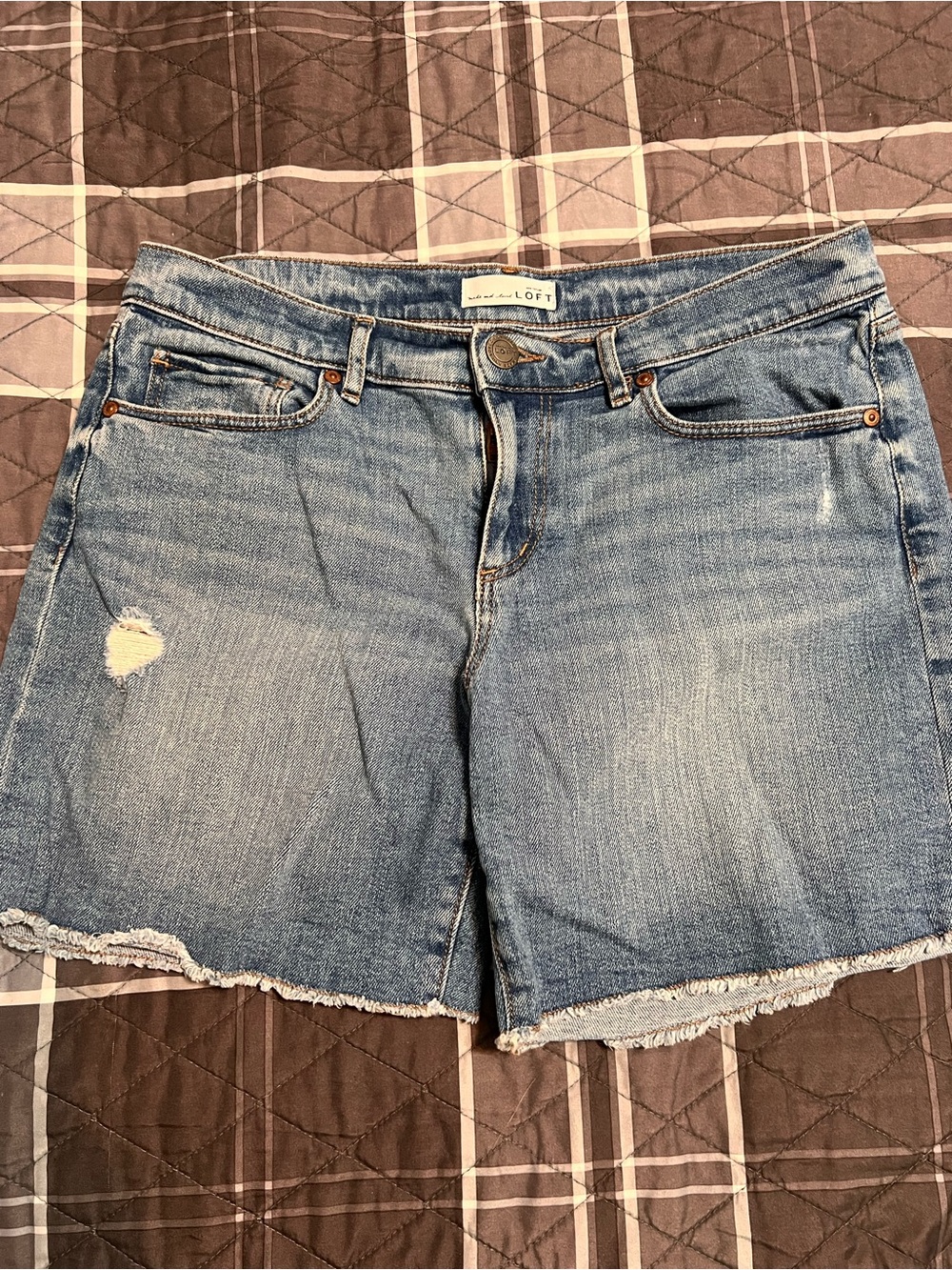 LOFT Light Blue Denim Frayed Hem Women's Shorts